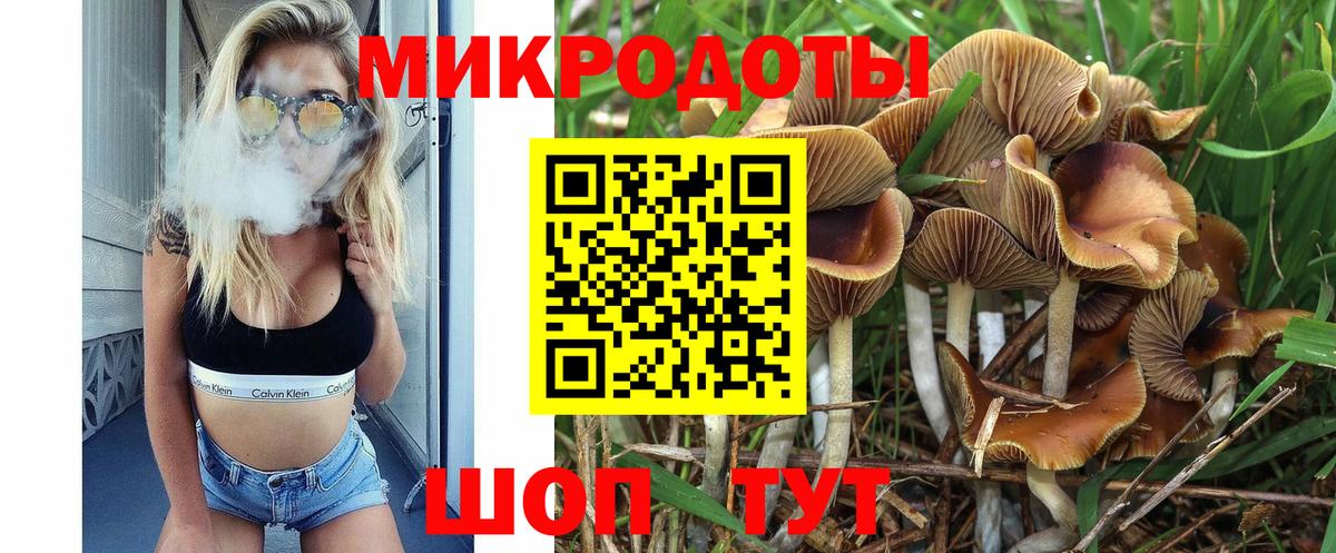 Галлюциногенные грибы ЛСД  Вход с VPN  Галлюциногенные грибы Magic Shrooms  Зерноград 